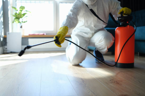 Best Residential Pest Control  in Despard, WV