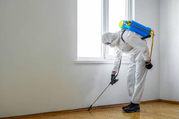 Best Exterminator Services  in Despard, WV