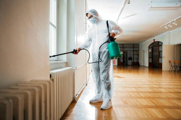 Best Termite Control Services  in Despard, WV