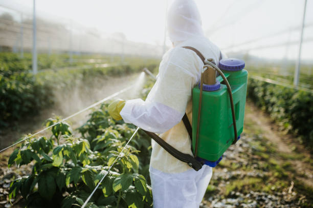 Best Pest Control Near Me  in Despard, WV